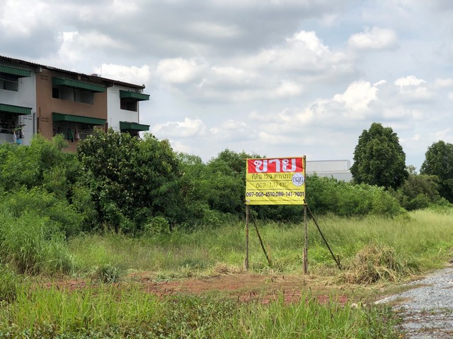 ขายด่วนที่ดินสวย 120  ตร.วา ซ.เลียบคลองส่วย เหมาะทำอุตสาหกรรมกับคลังสินค้า พระสมุทรเจดีย์  จ.สมุทรปราการ  ZC033