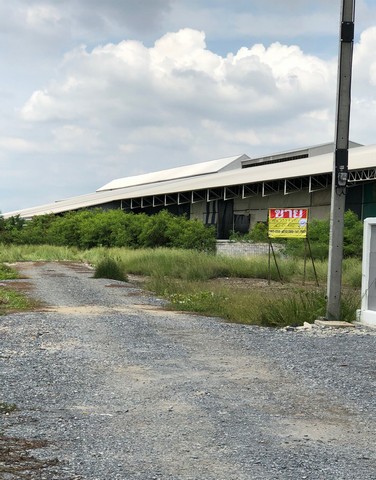 ขายด่วนที่ดินสวย 113.9  ตร.วา ซ.เลียบคลองส่วย   ต.ปากคลองบางปลากด  อ.พระสมุทรเจดีย์  จ.สมุทรปราการ  ZC035