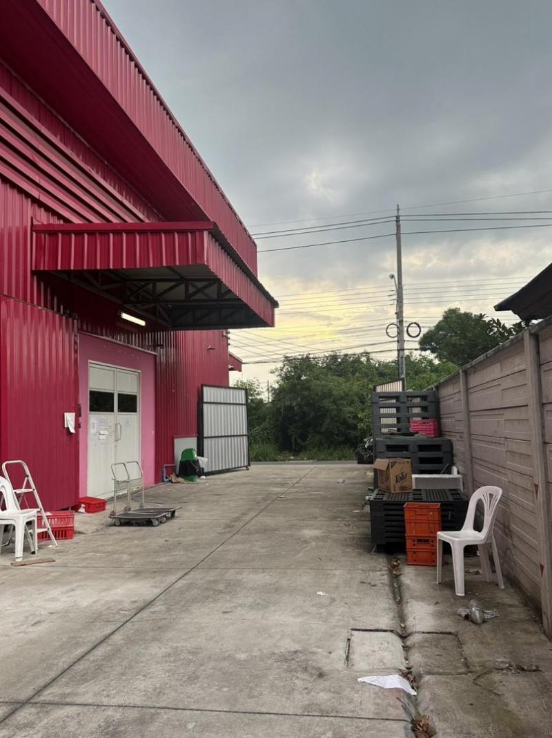 EPL-WH0563 ให้เช่าโกดัง ย่านสายไหม ลำลูกกา สุขาภิบาล5 เนื้อที่ 238 ตร.ว. พื้นที่ 900 ตรม. ใกล้BTSคูคต เหมาะสำหรับเก็บสินค้า , กระจายสินค้า