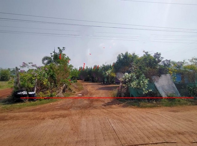 ขายบ้านเดี่ยว    อำเภอกู่แก้ว อุดรธานี (PKK02-14572)