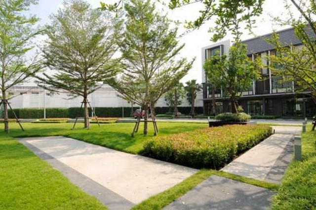 ให้เช่าทาวน์โฮมFlora Wongsawang ฟลอร่า วงศ์สว่าง3ชั้น3นอน3น้ำ พร้อมอยู่ ใกล้รถไฟฟ้า ทางด่วน