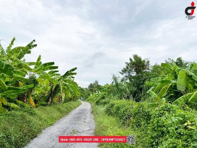 ขายด่วนที่ดิน 3 ไร่ 2 งาน บางบอน 3 ซอย 8 ถนนกว้าง 8 เมตร