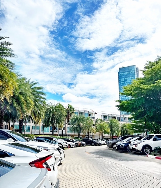 C2634 ขายโรงงานพร้อมผู้เช่า 2 ไร่กว่า พระนครศรีอยุธยา ใกล้ถนนสายเอเชีย