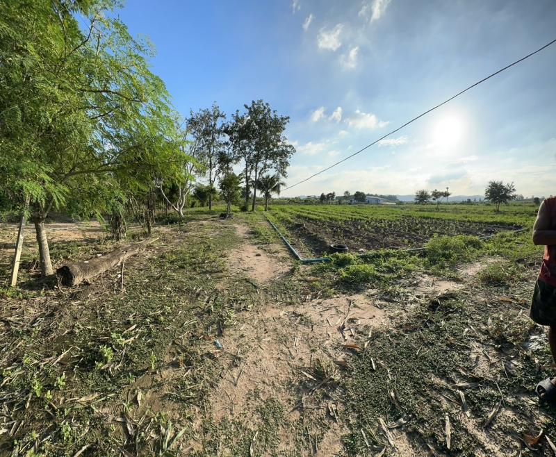 ขายที่ดินสวยติดถนน ถมแล้ว พร้อมสิ่งปลูกสร้าง 6 ไร่ 2 งาน 56 ตร.ว.