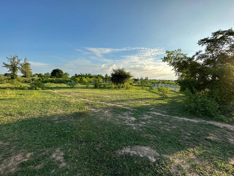 ขายที่ดินสวย ถมแล้ว  1ไร่  ราคา 700,000 บาท พร้อมโอน