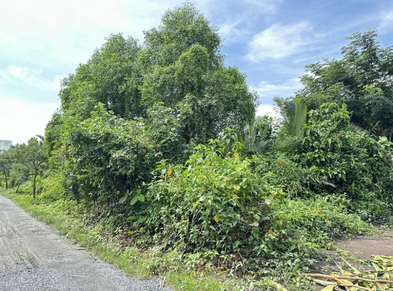 ขายที่ดินแปลงสวย ถมแล้ว 227 ตร.ว. ซอยวัดใหญ่ ตำบลในคลองบางปลากด อำเภอพระสมุทรเจดีย์ จังหวัดสมุทรปราการ