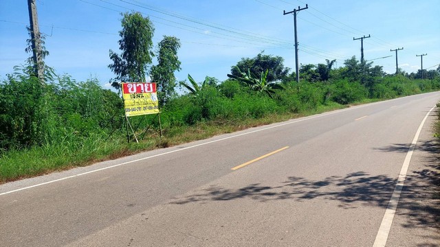 ขายที่ดินติดถนน 3-0-26 ไร่ ใกล้ล่องแพหนองกวก  ต.ปะโค อ.เมือง จ.หนองคาย   ZP076