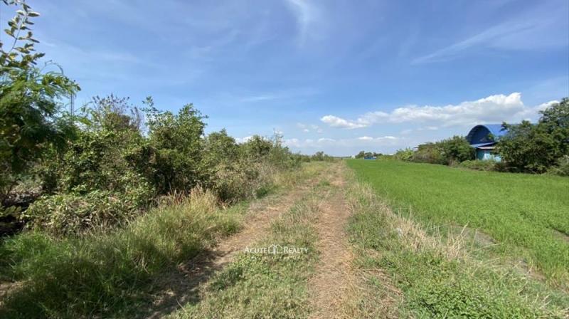 ขายที่ดินแปลงใหญ่ต่ำกว่าราคาประเมิน 50 ล้าน คลอง 9 รังสิต-ธัญบุรี
