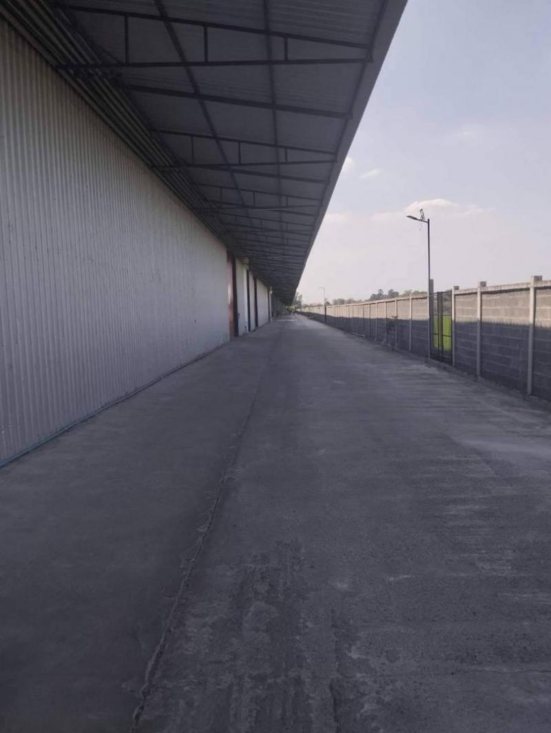 ให้เช่าโกดัง มีหลายขนาดให้เล์อก 108-972 ตารางเมตร ฝั่งเลียบมอเตอร์เวย์ ลำลูกกา คลอง 5 ปทุมธานี