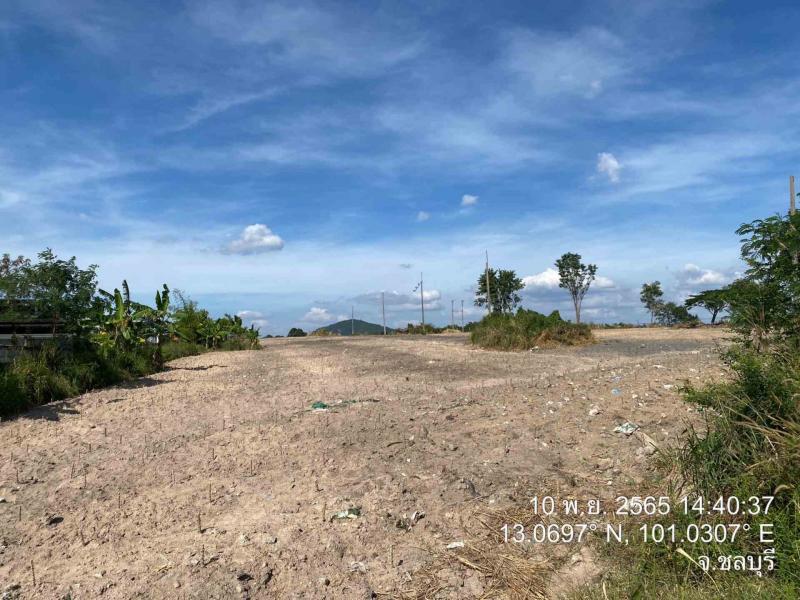 ขาย/เช่า ที่ดิน 27-3-86 ไร่ ต.บึง อ.ศรีราชา ชลบุรี