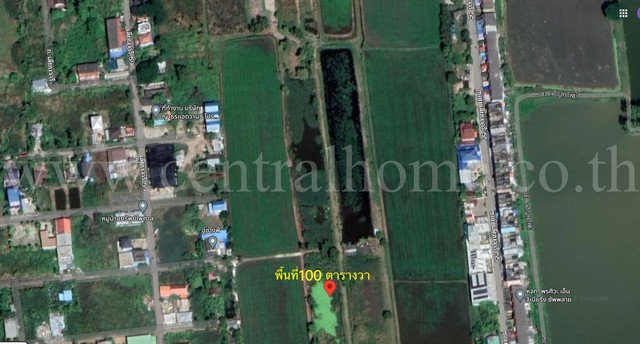 P1 ที่ดิน 100 ตารางวา หนองจอก โคกแฝด ใกล้ โรงเรียนอนันตา