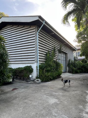 รหัส# TO848 ขายที่ดินพร้อมโกดังและบ้าน 401 ตร.ว. ซอยแบริ่ง 66 ถนนสุขุมวิท 107 ซอยศรีด่าน9 สมุทรปราการ   *** ราคาขาย 18 ล้านบาท  ที่ดินพร้อมโกดังและบ้าน ซอยแบริ่ง 66 ถนนสุขุมวิท 107 ซอยศรีด่าน9  เนื้อที่ดิน 401 ตร.ว.  พร้อมโกดัง และบ้าน ที่ดินหน้ากว้าง 35 ลึก 44 เมตร เแปลงสี่เหลี่ยมสวย เดินทางสะดวก เข้าออกได้หลายเส้นทางทั้ง ซอยแบริ่ง 66  ถนนสุขุมวิท 107 ซอยศรีด่าน9    *** ราคาขาย 18 ล้านบาท  ที่ตั้�