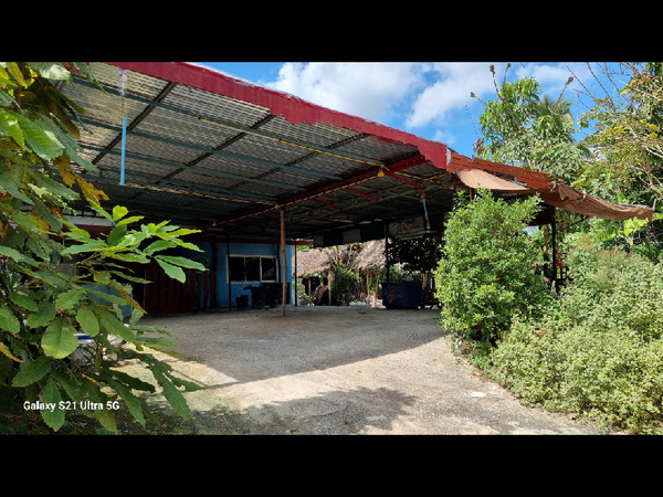 ที่ตั้ง  ตำบลป่าหวายนั่ง   อำเภอเมืองบ้านฝาง จังหวัด.ขอนแก่นพื้นที่ 78.90 ตร.ว.1 ชั้น2 ห้องนอน2 ห้องน้ำ1 ห้องนั่งเล่น1 ครัวที่จอดรถ 2 คันในบ้าน__________________________________________________________ราคาขาย 700,000 บาท  (ค่าโอนคนละครึ่ง)__________________________________________________________ลักษณะเด่น :บ้านราคาถูกกว่าราคาตลาดบ้าน 1 ชั้น ศูนย์กลางชุมชนหมู่บ้านย่านค้าขายใกล้โรงเรียนบ้านหนองเซียงซุยโนนสะอาดใกล้องค์การบริการส่วนตำบลป่าหว