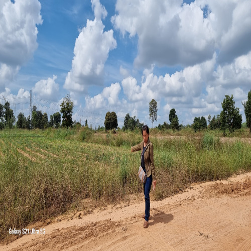 ขายถูกที่ดิน 1งาน 58 ตร.ว บ้านแดงใหญ่ ใกล้สนามบิน มหาวิทยาลัยขอนแก่น ทำเลสวย อากาศดี ชุมชนดี เดินทางสะดวก