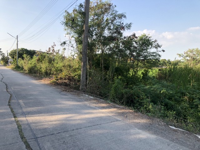 ที่ดินสวยขายรับลมหนาวติดถนนทางหลวงคอนกรีตน้ำไฟเข้าถึงคมนาคมสะดวกสบาย เหมะปลูกบ้านทำการเกษตรดินดีวิวสวย บ่อเงินปุทม ใกล้แหล่งน้ำเหมาะทำเกษตร  ใกล้ชุมชน 5ไร่  อำเภอลาดหลุมแก้ว ปทุมธานี ลาดหลุมแก้วไร่ละ 1ลบ. โทร 083-7124115