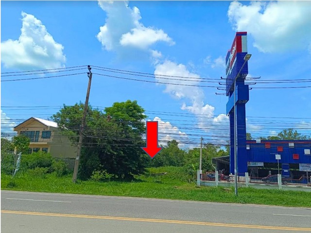 ขายที่ดิน 3-0-46.2 ไร่ ถนนแจ้งสนิท อำเภอเมือง จังหวัดมหาสารคาม