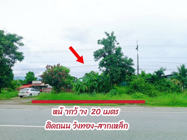 ที่ดินพร้อมสิ่งปลูกสร้าง 9 ไร่ 3 งาน ติดถนนทางหลวงหมายเลข11 (วังทอง-สากเหล็ก)