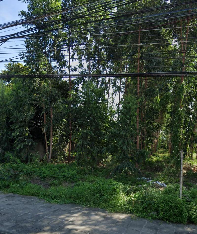 ขายที่ดินสวยๆใจกลางเมืองระยองติดถนนใหญ่3574 หน้ากว้าง 40m