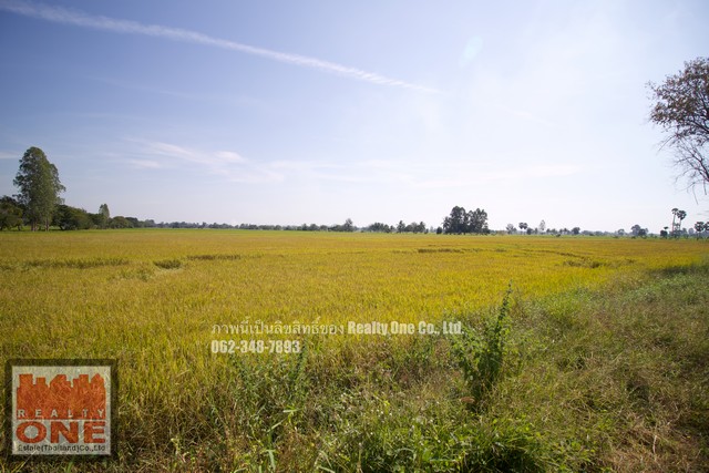 ขายที่ดิน แปลงมุม ติดถนนชลประทาน ต.ห้วยกรด อ.สรรคบุรี จ.ชัยนาท