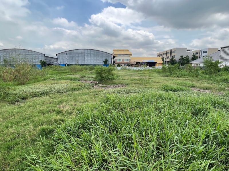 LS622ให้เช่าที่ดินถมแล้ว  ซอยศรีด่าน 9 แปลงละ 193 ตรว 2 แปลงรวม 396 ตรว  เหมาะเช่าทำโกดังหรือที่จอดรถสนใจติดต่อคุณสามารถ 0918070863 ID line : samart863ให้เช่าที่ดินซอยศรีด่าน 9ขนาดที่ดิน แปลงละ 193 ตรว 2 แปลงรวม 396 ตรวห่างสถานีศรีแบริ่ง 100 เมตรที่ดินถมแล้ว ขณะนี้ปลูกกล้วยไว้เหมาะเช่าทำโกดังหรือที่จอดรถราคา 40,000 /เดือน ประกัน 2 เดือน จ่ายล่วงหน้า 1 เดือน สัญญาเช่า 3 ปี สถานที่ตั้งตำบล สำโรงเหนื�