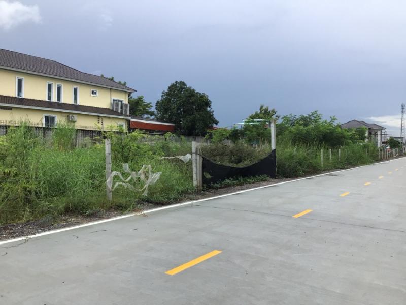 ให้เช่าที่ดินรังสิตคลอง 3 ถมแล้ว  เนื้อที่ 2 ไร่ ติดถนนซอยคอนกรีต อยู่ซอยคลองสาม 5/15 สามารถทำสัญญาระยะยาวได้