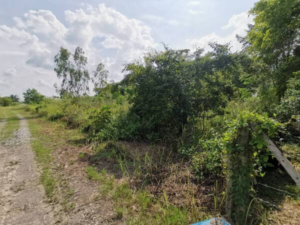 ขาย ที่ดินแปลงสวยติดถนนสาธารณะ อำเภอสวนผึ้ง  ขนาด 1ไร่