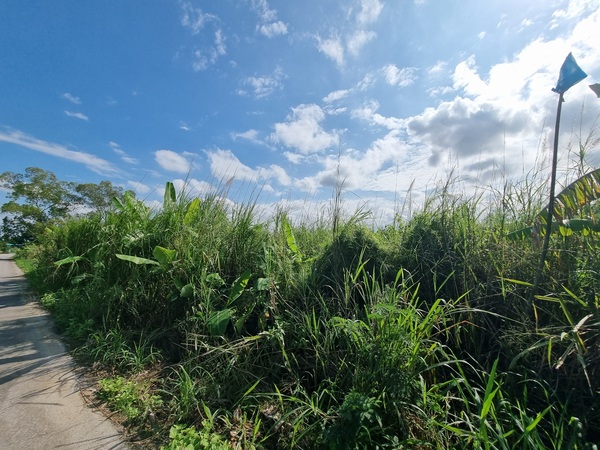  List.25442 ขายที่ดินสวนผึ้ง7ไร่115วาที่ดินแปลงสวยด้านหน้าติดถนน ด้านหลังติดห้วยน้ำ แปลงสี่เหลี่ยมผืนผ้าสร้างรีสอร์ท หรือปลูกบ้านบรรยากาศดีมากๆ ไม่ไกลจากตัวอำภอสวนผึ้งสนใจสอบถามเพิ่มเติม​ นัดหมาย​เพื่อ​เข้าชม​ติดต่อ​ : คุณ​พงศ์​ภา​วี​(พงศ์)​Tel : 088-659-7963Line ​: man_r1​Realty One Estate (Thailand) CO. LTDในสังกัดสมาคมนายหน้า​อสังหาริมทรัพย์​ไทยเรียลตี้วัน​ ”เราจะขายให้คุณ”