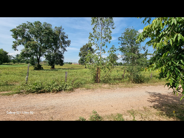  25600 ที่ดินรูปสี่เหลี่ยมที่ดินติดถนน เข้าออกได้หลายทางรูปแปลงสวยขายถูกมาก ถมแล้วเหมาะกับการสร้างที่อยู่อาศัย ***  ราคาทั้งแปลง ขายแค่ 550,000 บาท  เท่านั้น ****ค่าโอนคนละครึ่ง  สนใจสอบถามเพิ่มเติม ติดต่อคุณสุขสิชา ปภาวรินทร์ธรTel : 097-782-6541LINE : 0634978915Line: https://line.me/ti/p/hGATlhucL7Facebook : https://www.facebook.com/profile.php?id=61552345277845 Realty  One Estate (Thailand) Co.,Ltd*ในสังกัดสมาคมนายหน้าอสังหาริมทรัพย์ไทย*สังกัดสมาพันธ์ที่ปรึกษาธุรกิจอสั