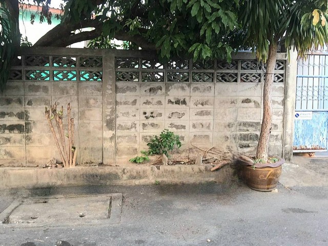 ขาย ที่ดิน เปล่า ถูกมาก กำนันแม้น 27 หัวมุม ขนาด 33 ตรว. ขาย 1,700,000 บาท