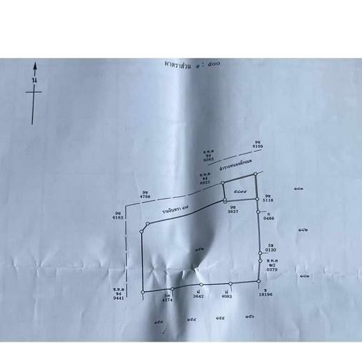 PT12 ขายที่ดิน 218 ตารางวา พร้อมสิ่งปลูกสร้าง ซอยรามอินทรา 47 ขายต่ำกว่าราคาประเมิน ท่าแร้ง เขตบางเขน  ใกล้สถานีรถไฟฟ้าสายสีชมพูสถานีมัยลาภ ใกล้ ทางด่วน ใกล้เลียบด่วนรามอินทรา ใกล้ตลาดถนอมมิตรราคาขาย 10,000,000 บาทติดต่อ คุณช่อผกา 0616198565 LINE 0616198565ที่ดินพร้อมสิ่งปลูกสร้าง 218 ตารางวา ซอยรามอินทรา 47เนื้อที่ 218 ตารางวาที่ดินสวยมีสิ่งปลูกสร้างพร้อมอยู่รามอินทรา 47 เข้าซอย 300 เมตร�