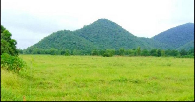 ขายที่วิวเขาสวยระดับร้อยล้านราคาถูก.. เหมือนสวรรค์บนดินมีอยู่จริง ตำบลท่าค้อ อำเภอแก่งคอย สระบุรี