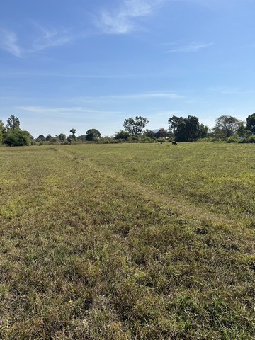 ขายที่ดินทำเลทอง 14 ไร่2งาน 6 ตารางวา หมู่บ้านอีเลี่ยน ต.หนองขอนกว้าง  จังหวัด อุดรธานี