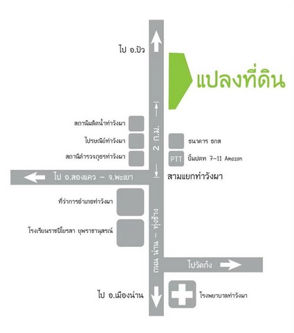 ที่ดินแปลงสวยมาก ติดถนนทางหลวงเส้นน่าน -ทุ่งช้าง อำเภอท่าวังผา จังหวัดน่าน