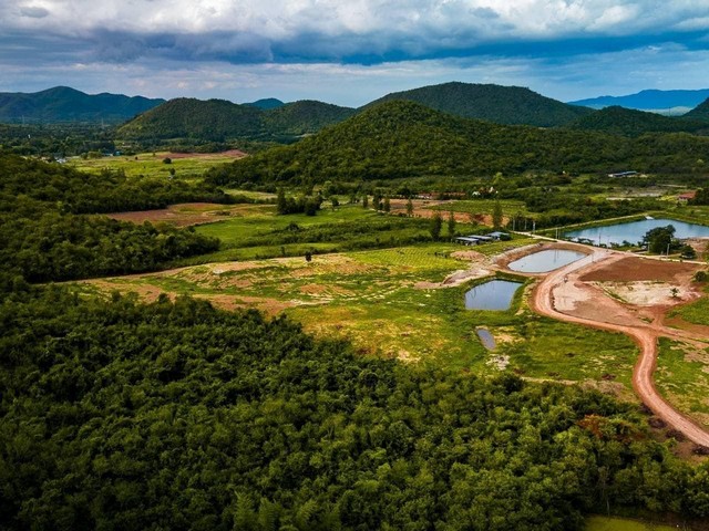 ที่ดินแบ่งขาย จ.เพชรบุรี  ที่ดินตั้งอยู่ที่ ต.กลัดหลวง อ.ท่ายาง จ.เพชรบุรี promotion ถึง สิ้นปีนี้