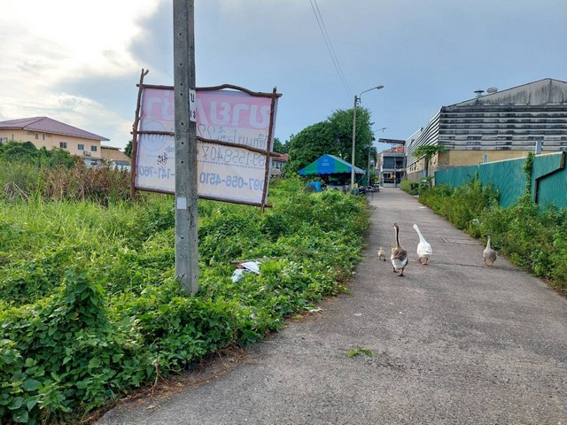 ขาย/เช่า ที่ดิน 225 ตร.วา แปลงมุม ติดถนน2 ด้าน  แบริ่ง 58/5  สำโรงเหนือ   สมุทรปราการ  ZT276