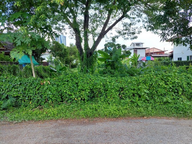 ขายด่วนที่ดิน  296.3 ตร.วา ถ.ประชาราษฎร์สาย1  ใกลัรัฐสภา  บางซื่อ   ZT278