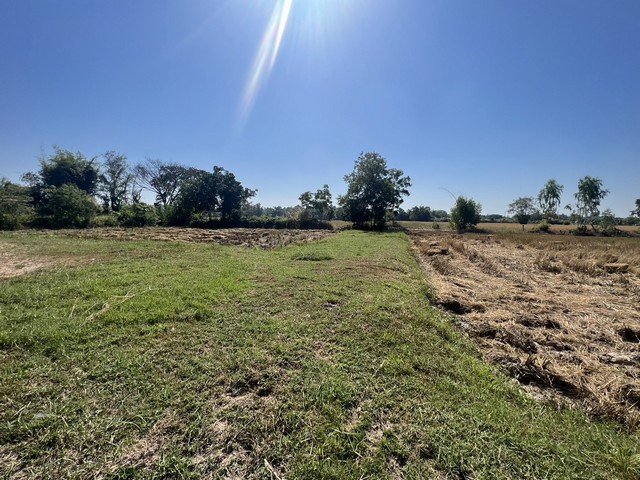 ขายที่ดินพร้อวร้านกาแฟ อำเภอเมืองสกลนคร จังหวัดสกลนคร ขนาด 5 ไร่ 2 งาน