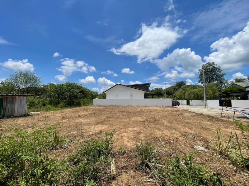 ขายที่ดินเปล่า ดอนแก้ว แม่ริม  ถมดิน น้ำประปา ไฟฟ้า ครบ