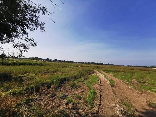 ขายที่นา​ ทำเลดีที่สวย​ ไม่ไกลในเมือง ติดถนนหมายเลข​ 1173 ขายที่นา​ ทำเลดีที่สวย​  เมืองชุม อ.เวียงชัย​ จ.เชียงราย