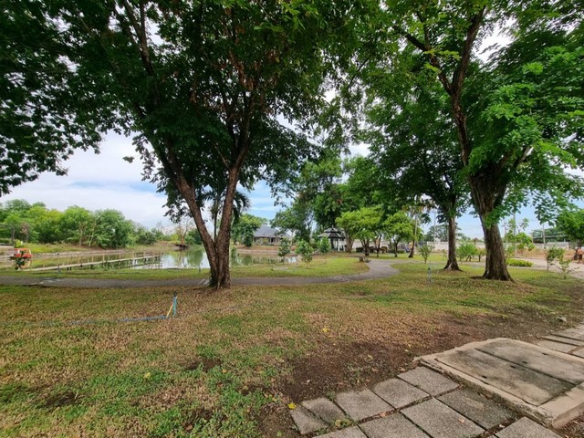 TD545ขายที่ดินแปลงงาม :  โครงการกรรณ​สูตริเวอร์​วิลล์Land With Building Sale  :  Kannasu RivervilleFor Sale : 1,860,000 THBทำเลที่ตั้ง :  ตำบลวัดสำโรง อำเภอนครชัยศรี นครปฐมรายละเอียดทรัพย์ ที่ดินเปล่า พื้นที่ 101.9 ตร.ว.(1 งาน / 1.9 ตร.ว)ติดน้ำ โครงการสวยมาก ร่มรื่นสุดๆสร้างบ้านแบบใดก็ได้โครงการไม่ได้บังคับมีทะเลสาบ สวนสาธารณะร่มรื่นลูกบ้านทุกหลัง สามารถนำเรือ/เจ็ทสกี ลงแม่น้ำท่าจีน โดยใช้แรมป์ส่วนกลางของทา