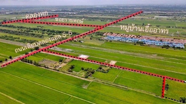 TD541  ขายที่ดินแปลงงาม       :            ปทุมธานี