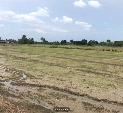 TD539   ขายที่ดินแปลงงาม     :              ราชบุรี