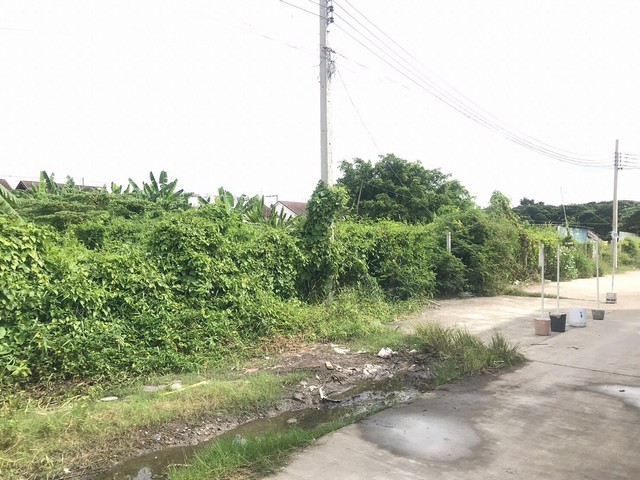 ขายที่ดินสวยทำเลดี เนื้อที่ 2-0-3.4 ไร่ ซอยนักกีฬาแหลมทอง1   ZJ071