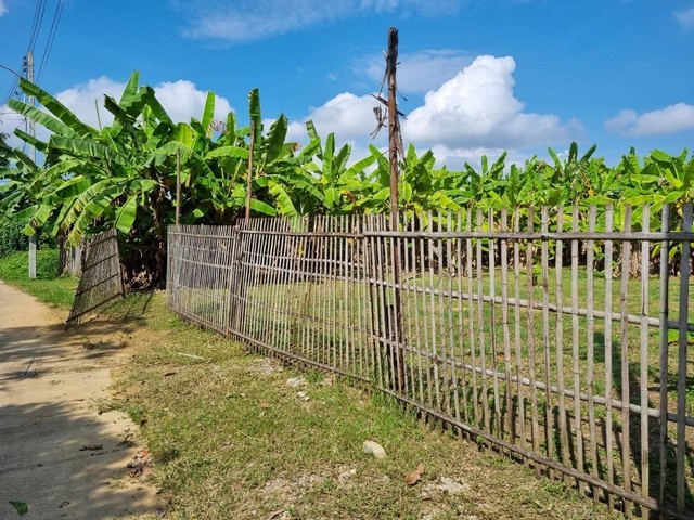 ที่ดินในชุมชน 2 งาน 56 ตารางวา  ต.ท่าศาลา อ.เมือง จ.เชียงใหม่   ZN587