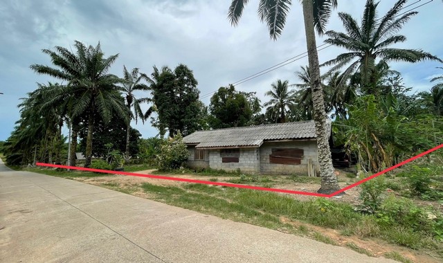 รายละเอียดเพิ่มเติมCode ID : PKK02-15222ราคาขาย         2,096,000 บาท- ขนาดพื้นที่ :  2,045 ตร.ว (5 ไร่ / 45 ตร.ว)- พื้นที่ใช้สอย :    90 ตร.ม- จำนวนห้อง :    1 ห้องนอน 1 ห้องน้ำ - ที่จอดรถ :     1-2 คัน- บ้านเดี่ยว :       1 ชั้น- บ้านเดี่ยวหันทางทิศ : -- อายุอาคาร :     14 ปีพิกัดทรัพย์  :    https://maps.app.goo.gl/mhs7gNiF231oyecM6สถานที่ใกล้เคียง- ใกล้มินิบิ๊กซี คลองท่อม- ใกล้โลตัส โกเฟรช ซูเปอร์มาร์เก็ต คลองท่อม- ใกล้โลตัส โกเฟรช คลองพน กระบี่- ใกล้โรงพยา�