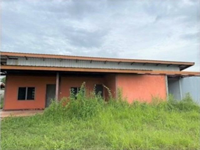 รายละเอียดเพิ่มเติมCode ID :  PKK02-15937ราคาขาย         27,694,000 บาท- ขนาดพื้นที่ :     21,555 ตร.ว (53 ไร่ / 3 งาน / 55 ตร.ว)- พื้นที่ใช้สอย :   160 ตร.ม- จำนวนห้อง :   - ห้องนอน - ห้องน้ำ- จอดรถ :     1-2 คัน- บ้านเดี่ยว  :  1 ชั้น- บ้านเดี่ยวหันทางทิศ :- อายุอาคาร :    9 ปีพิกัดทรัพย์ :     https://maps.app.goo.gl/MzgV67wn5CEMx2Be6สถานที่ใกล้เคียง- ใกล้โลตัส โกเฟรช พังโคน- ใกล้วัดเมตตาธรรมาราม- ใกล้วัดป่าสันติเจริญพร- ใกล้โรงเรียนบ้านดอนแดงสอบถามเพิ่มเต�