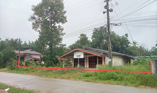 รายละเอียดเพิ่มเติมCode ID : PKK02-14657ราคาขาย         2,817,000 บาท- ขนาดพื้นที่ :  558 ตร.ว (1 ไร่ / 1 งาน / 58 ตร.ว)- พื้นที่ใช้สอย :    175.10 ตร.ม- จำนวนห้อง :    2 ห้องนอน 4 ห้องน้ำ - ที่จอดรถ :     1-2 คัน- บ้านเดี่ยว :       1 ชั้น- บ้านเดี่ยวหันทางทิศ : -- อายุอาคาร :     36 ปีพิกัดทรัพย์  :     https://maps.app.goo.gl/BWsnegZqfZqCdz21Aสถานที่ใกล้เคียง- ใกล้มินิบิ๊กซี คลองท่อม- ใกล้โลตัส โกเฟรช คลองพน กระบี่- ใกล้โรงเรียนอนุบาลจิตจงรักษ์- ใกล้โรงเรียนบ้า�