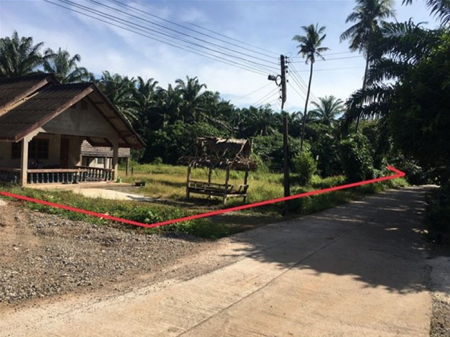 รายละเอียดเพิ่มเติมCode ID : PKK02-14569ราคาขาย         1,440,000 บาท- ขนาดพื้นที่ :  1,414 ตร.ว (3 ไร่ / 2 งาน / 40 ตร.ว)- พื้นที่ใช้สอย :    110 ตร.ม- จำนวนห้อง :    1 ห้องนอน 2 ห้องน้ำ - ที่จอดรถ :     1-2 คัน- บ้านเดี่ยว :       1 ชั้น- บ้านเดี่ยวหันทางทิศ : -- อายุอาคาร :     20 ปีพิกัดทรัพย์  :     https://maps.app.goo.gl/2mAyxhAExicp2JXi8สถานที่ใกล้เคียง- ใกล้มินิบิ๊กซี คลองท่อม- ใกล้โลตัส โกเฟรช คลองพน กระบี่- ใกล้โรงเรียนบ้านคลองปิ้ง- ใกล้โรงเรียนบ้านห้วย