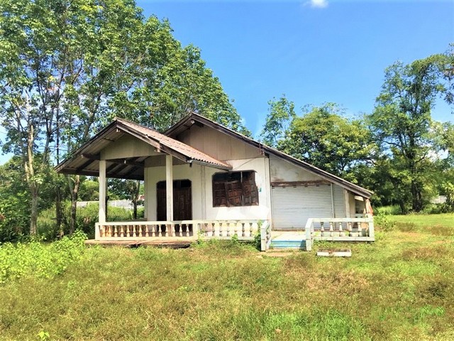 รายละเอียดเพิ่มเติมCode ID : PKK02-13113ราคาขาย       1,891,000 บาท- ขนาดพื้นที่ :   837 ตร.ว (2 ไร่ / 37 ตร.ว)- พื้นที่ใช้สอย :  144 ตร.ม- จำนวนห้อง :   1 ห้องนอน 1 ห้องน้ำ- จอดรถ :    1-2 คัน- บ้านเดี่ยว :     1 ชั้น- บ้านเดี่ยวหันทางทิศ :- อายุอาคาร :    15 ปีพิกัดทรัพย์ :    https://maps.app.goo.gl/kmrZUeqRomwj6zqt9สถานที่ใกล้เคียง- ใกล้ตลาดนัดโค-กระบือบ้านกุดเรือคำ- ใกล้ตลาดกุดเรือคำ- ใกล้วัดอรัญญิการาม- ใกล้วัดป่าสามัคคีธรรมสอบถามเพิ่มเติม/นัด�