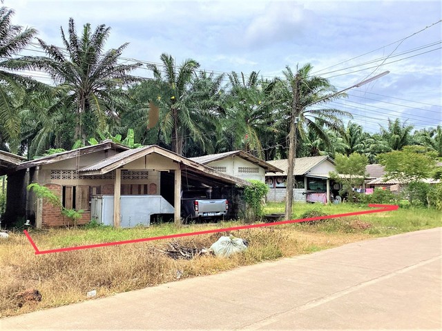 รายละเอียดเพิ่มเติมCode ID : PKK02-11582ราคาขาย         992,000 บาท- ขนาดพื้นที่ :   116 ตร.ว (1 งาน / 16 ตร.ว)- พื้นที่ใช้สอย :    121 ตร.ม- จำนวนห้อง :    1 ห้องนอน 1 ห้องน้ำ - ที่จอดรถ :     1-2 คัน- บ้านเดี่ยว :       1 ชั้น- บ้านเดี่ยวหันทางทิศ : -- อายุอาคาร :     9 ปีพิกัดทรัพย์ :     https://maps.app.goo.gl/WZ4WVqS9znv7fsh58สถานที่ใกล้เคียง- ใกล้มินิบิ๊กซี คลองท่อม- ใกล้โลตัส โกเฟรช คลองพน กระบี่- ใกล้โรงเรียนบ้านคลองปิ้ง- ใกล้โรงเรียนบ้านควนใต้สอบถ�